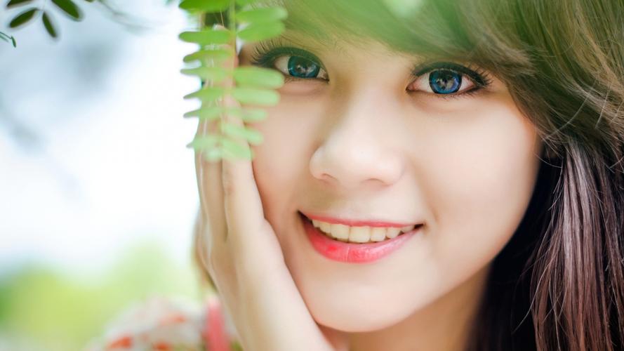 李强主持召开国务院常务会议